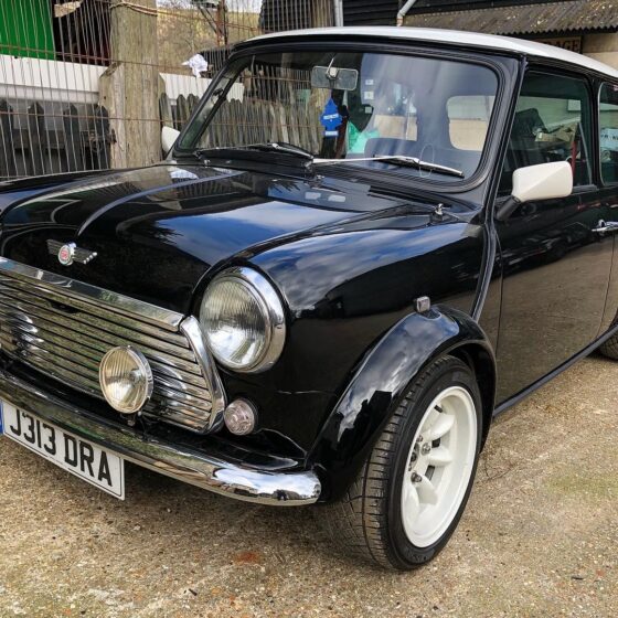 Rover Mini